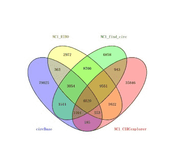 韦恩图（Venn）